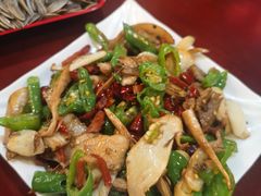 -蘑统田下·野生菌火锅