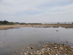 -绿堤公园