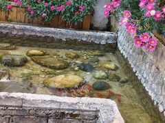 -浔岚云舍mist静谧观景美宿(丽江古城店)