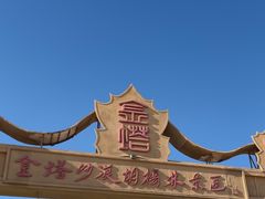 -金塔沙漠胡杨林景区