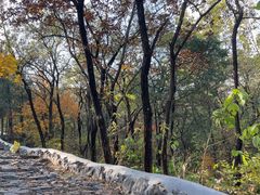 -阳台山自然风景区
