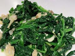 -紫光园·烤鸭·北京菜(劲松店)