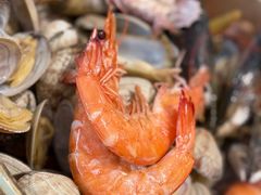 -阿毛饭店·宁波老字号(儿童公园旗舰店)