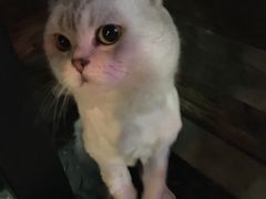 -MIKAKU(万达广场上海宝山店)