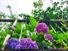 -武汉园博园(武汉自然博物馆)