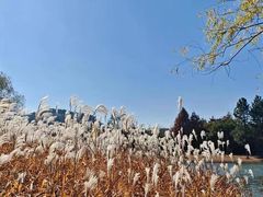 -长广溪湿地公园