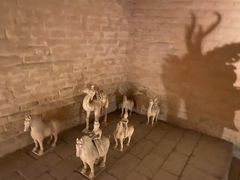 -洛阳古墓博物馆