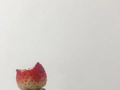 -鲜力达果品批发直销(青山店)