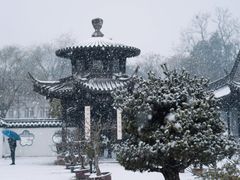 -扬州大运河文化旅游度假区·盆景园