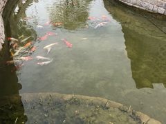 -春风习习