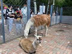 -长白岛森林公园