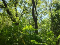 -永定河休闲森林公园