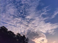 -南国桃园旅游度假区