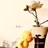 魔都最宜二人静修的私享空间