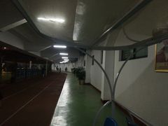 -福建省奥林匹克体育中心-体育馆