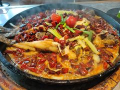 -老板恋上鱼(恒隆广场店)