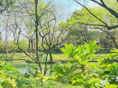 -西溪国家湿地公园