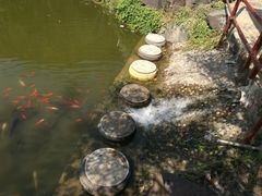 -八大山人梅湖景区