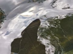 -七彩云南古滇温泉山庄
