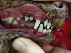 -乐琪宠物(青塔西路店)