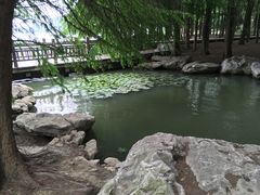 -高子水居