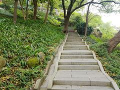-乌山风景区