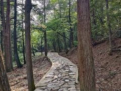 -四明山国家森林公园