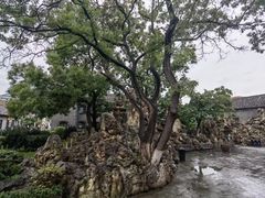 -张学良故居
