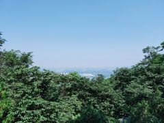 -阳台山自然风景区