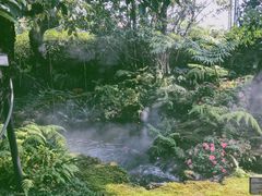 -Chom Cafe and Restaurant