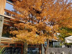 -那家山城(樱桃园店)