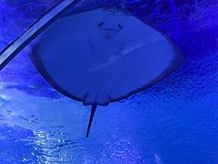 -海合安武汉极地海洋公园