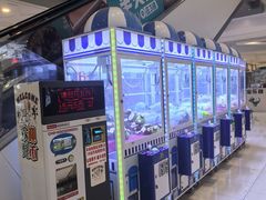 -宝龙广场(蓬莱区)