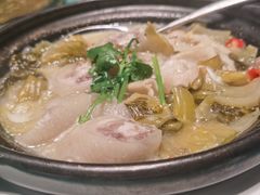 -双生不夜粥