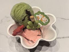 -阿露佳·舌尖上的安吉菜