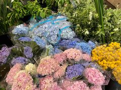 -循礼门鲜花花市(武汉循礼门店)