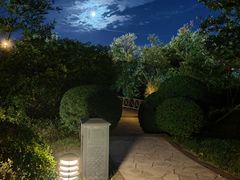 -青岛金沙滩希尔顿酒店·自助餐厅