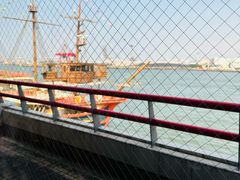 -大阪海游馆