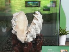 -中国湿地博物馆