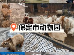 -天主教堂(莲池区)
