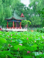 -宝馨月月子中心(友谊医院店)
