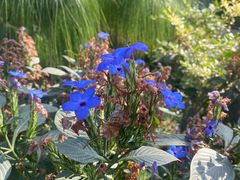 -国家植物园南园