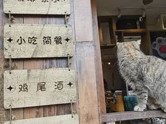 -磁器口古镇
