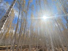 -北极村旅游风景区