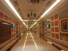 -沈阳于洪碧桂园凤凰酒店