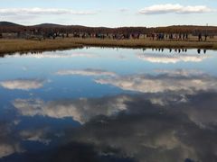 android_upload_pic-塞罕坝国家级自然保护区