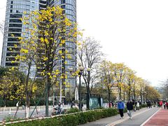 -洲头咀公园