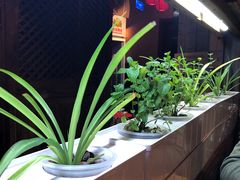 -望京一号·重庆江湖菜(工体店)