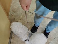 -美联众合动物医院·24h转诊中心