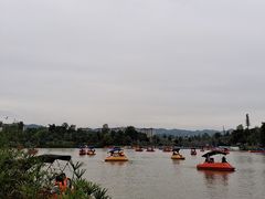 -枫香湖儿童公园